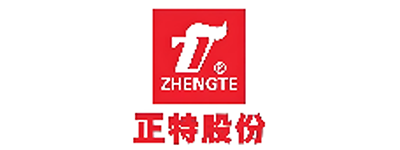 正特股份